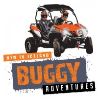 Buggy Adventures