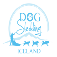 Dog Sledding Iceland HQ
