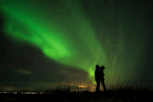 Northern Lights Bus