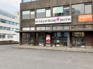 Reykjavíkurblóm