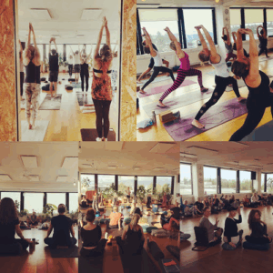 Yoga Shala Reykjavík
